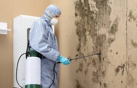 Best Air Quality Testing for Mold Spores in Colma, CA